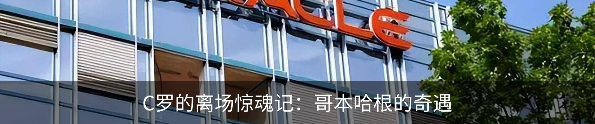 新闻动态